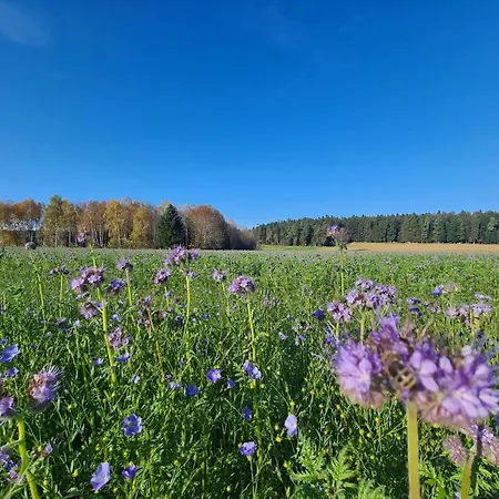 Haertel * Schramberg