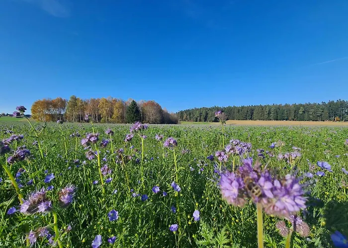 Haertel * Schramberg